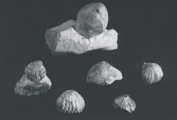 Oberkochen