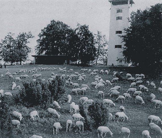 Oberkochen