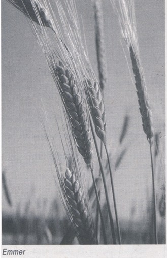Oberkochen