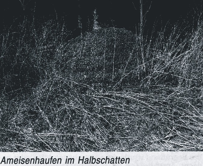 Oberkochen
