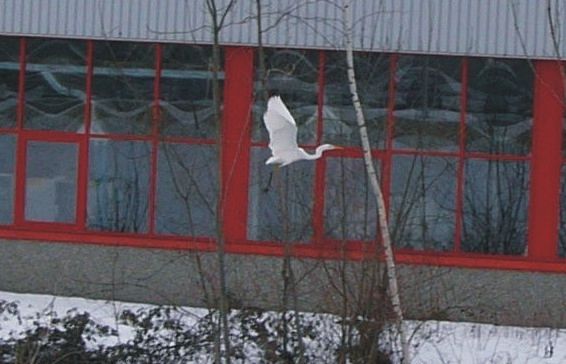 Oberkochen