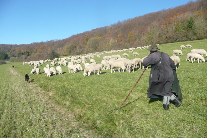 Oberkochen