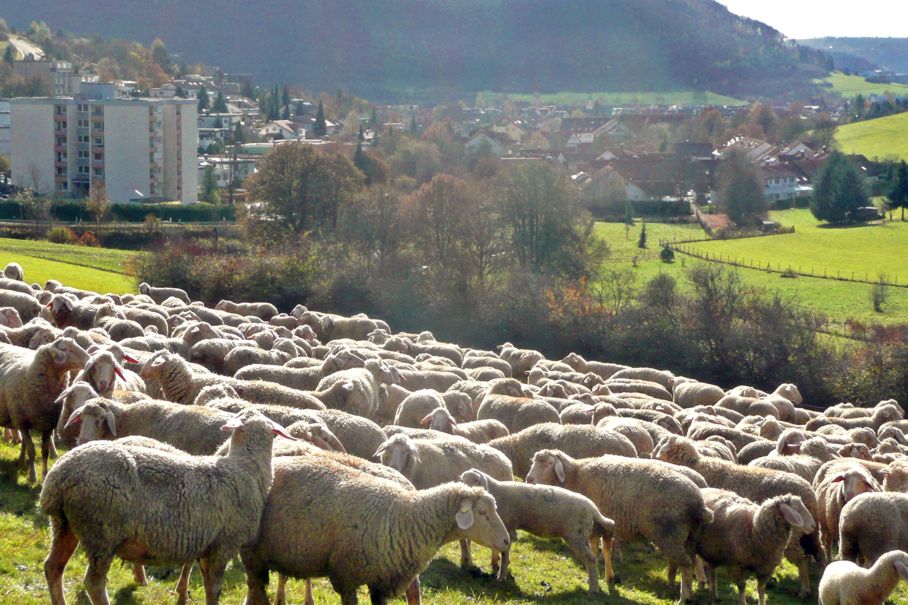 Oberkochen