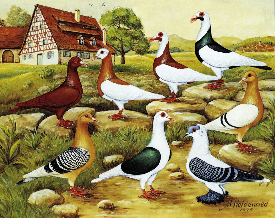 Oberkochen