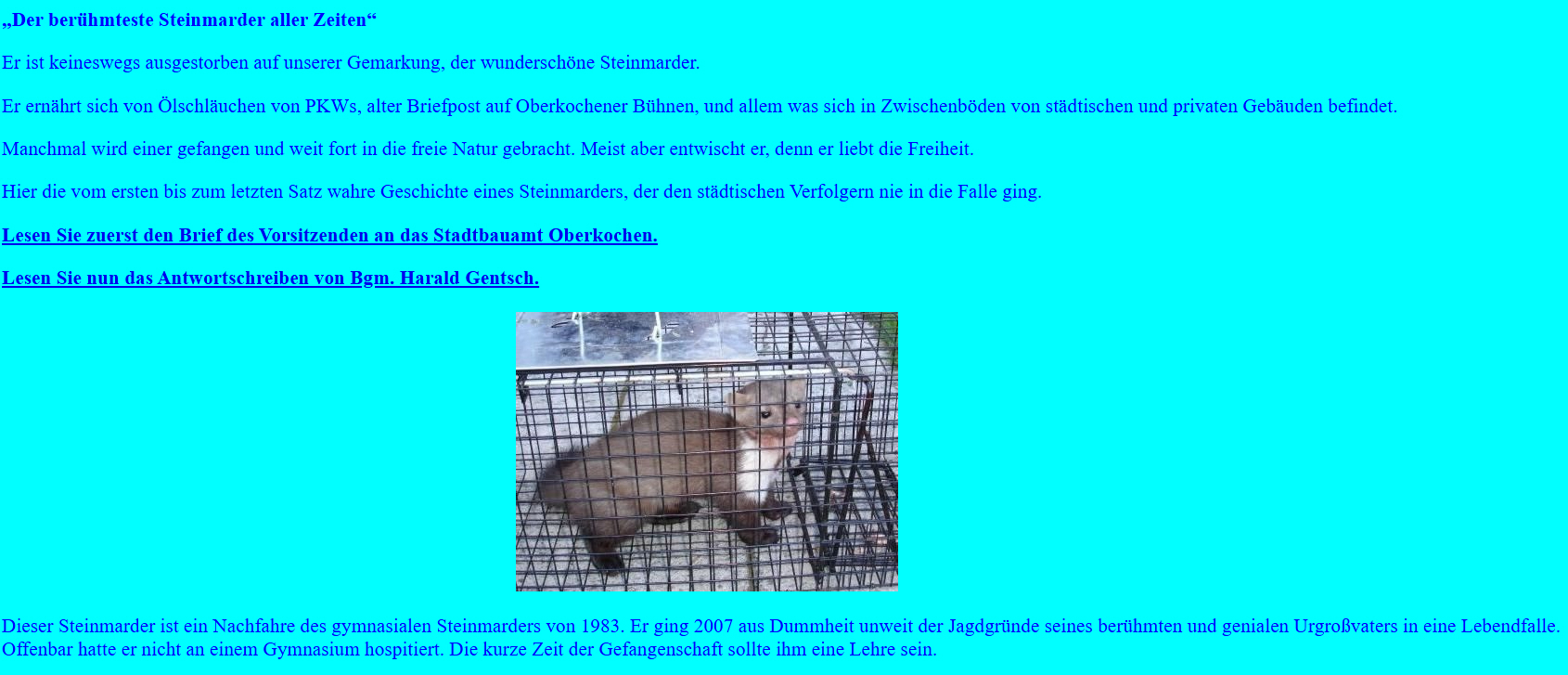 Der berühmteste Steinmarder aller Zeiten 1